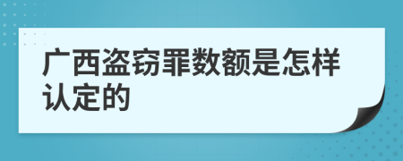 廣西盜竊罪數(shù)額是怎樣認(rèn)定的