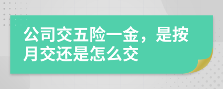 公司交五險一金，是按月交還是怎么交