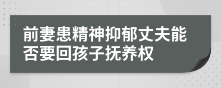 前妻患精神抑郁丈夫能否要回孩子撫養(yǎng)權