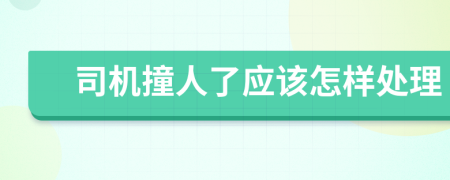 司機撞人了應該怎樣處理