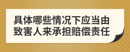 具體哪些情況下應(yīng)當(dāng)由致害人來承擔(dān)賠償責(zé)任