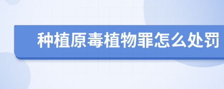 種植原毒植物罪怎么處罰