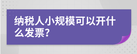納稅人小規(guī)?？梢蚤_什么發(fā)票？