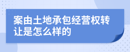 案由土地承包經(jīng)營權轉讓是怎么樣的