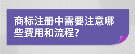 商標注冊中需要注意哪些費用和流程？