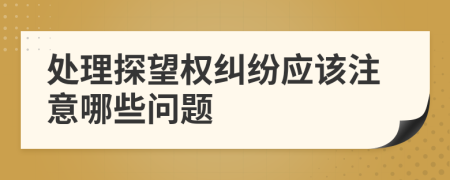 處理探望權(quán)糾紛應(yīng)該注意哪些問(wèn)題