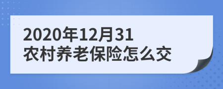 2020年12月31農(nóng)村養(yǎng)老保險(xiǎn)怎么交