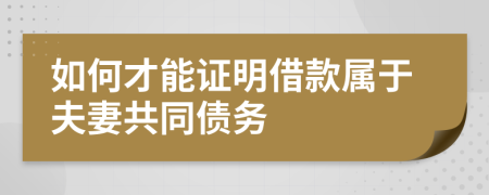 如何才能證明借款屬于夫妻共同債務(wù)