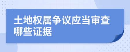 土地權(quán)屬爭(zhēng)議應(yīng)當(dāng)審查哪些證據(jù)