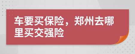 車要買保險，鄭州去哪里買交強險