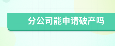 分公司能申請破產(chǎn)嗎