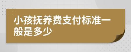 小孩撫養(yǎng)費(fèi)支付標(biāo)準(zhǔn)一般是多少
