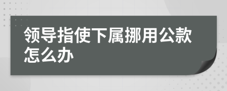 領導指使下屬挪用公款怎么辦