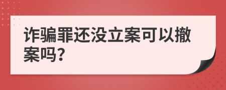 詐騙罪還沒立案可以撤案嗎？