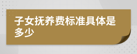 子女撫養(yǎng)費(fèi)標(biāo)準(zhǔn)具體是多少