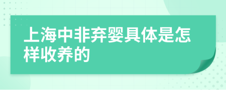 上海中非棄嬰具體是怎樣收養(yǎng)的