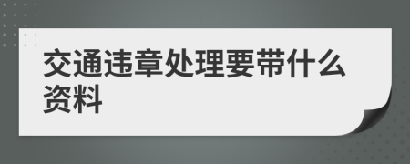 交通違章處理要帶什么資料