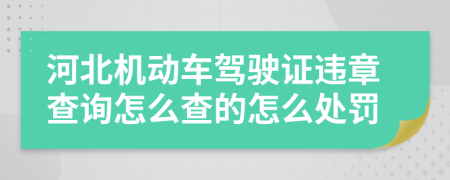 河北機動車駕駛證違章查詢怎么查的怎么處罰