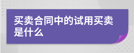 買賣合同中的試用買賣是什么