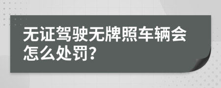無證駕駛無牌照車輛會(huì)怎么處罰？