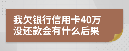 我欠銀行信用卡40萬沒還款會有什么后果