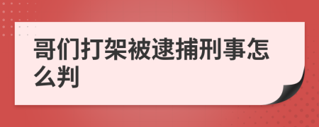 哥們打架被逮捕刑事怎么判