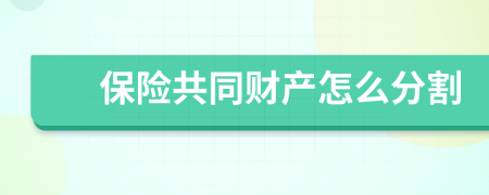 保險共同財產(chǎn)怎么分割