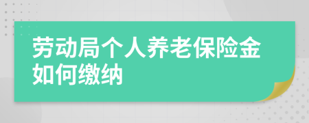 勞動(dòng)局個(gè)人養(yǎng)老保險(xiǎn)金如何繳納
