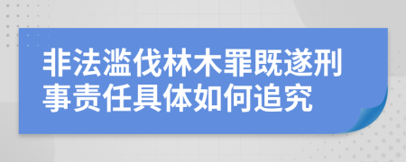 非法濫伐林木罪既遂刑事責(zé)任具體如何追究
