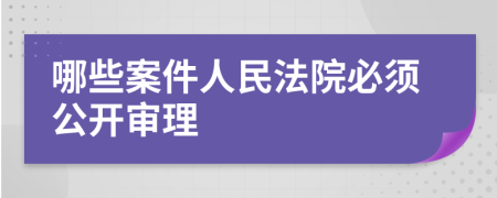 哪些案件人民法院必須公開審理