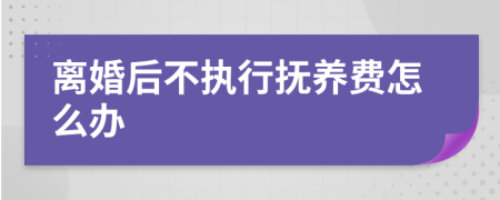 離婚后不執(zhí)行撫養(yǎng)費(fèi)怎么辦