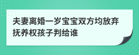 夫妻離婚一歲寶寶雙方均放棄撫養(yǎng)權(quán)孩子判給誰(shuí)