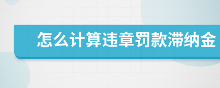 怎么計(jì)算違章罰款滯納金