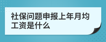 社保問題申報上年月均工資是什么