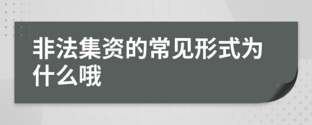 非法集資的常見(jiàn)形式為什么哦