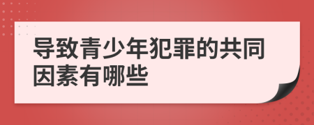 導(dǎo)致青少年犯罪的共同因素有哪些