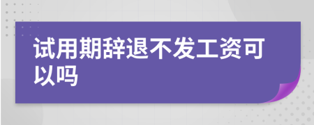 試用期辭退不發(fā)工資可以嗎