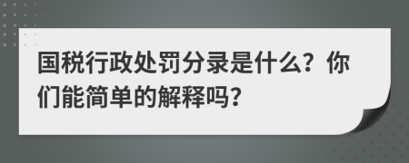 國稅行政處罰分錄是什么？你們能簡單的解釋嗎？