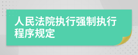 人民法院執(zhí)行強(qiáng)制執(zhí)行程序規(guī)定