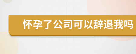 懷孕了公司可以辭退我嗎