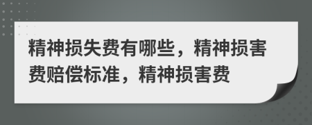 精神損失費有哪些，精神損害費賠償標準，精神損害費