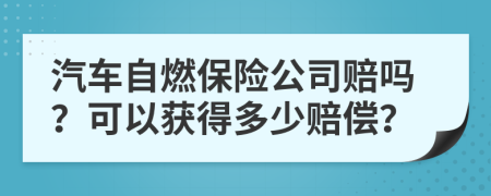 汽車自燃保險(xiǎn)公司賠嗎？可以獲得多少賠償？
