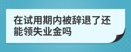 在試用期內(nèi)被辭退了還能領(lǐng)失業(yè)金嗎
