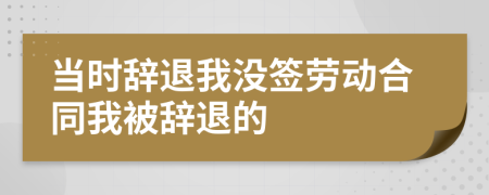 當(dāng)時(shí)辭退我沒簽勞動(dòng)合同我被辭退的
