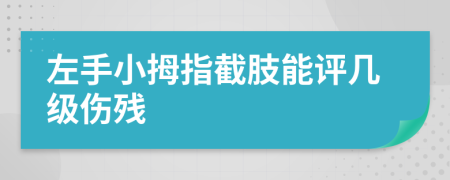 左手小拇指截肢能評(píng)幾級(jí)傷殘