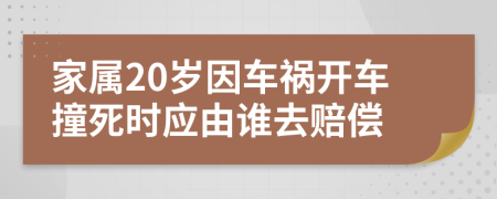 家屬20歲因車禍開車撞死時應(yīng)由誰去賠償