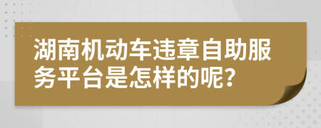 湖南機動車違章自助服務(wù)平臺是怎樣的呢？