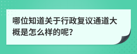 哪位知道關(guān)于行政復(fù)議通道大概是怎么樣的呢？