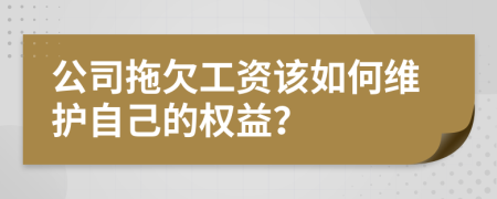 公司拖欠工資該如何維護(hù)自己的權(quán)益？