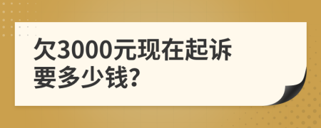 欠3000元現(xiàn)在起訴要多少錢？